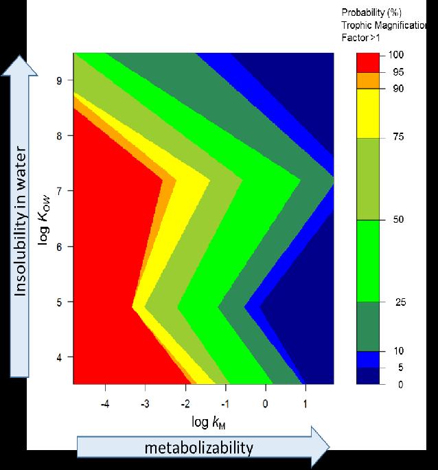 Probability of Biomagnification