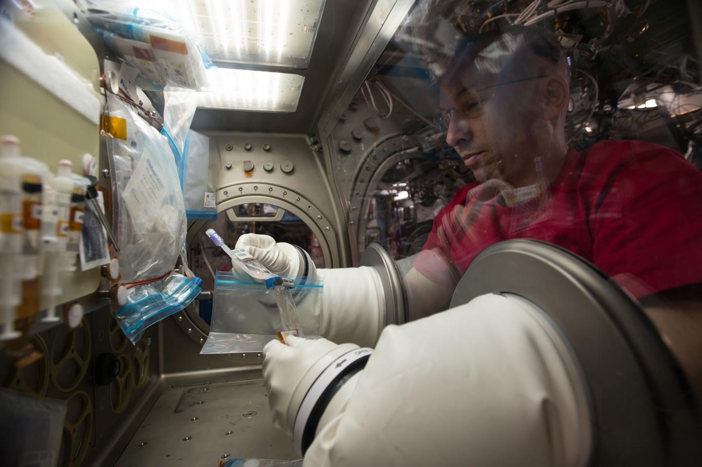 Randy Bresnik, NASA