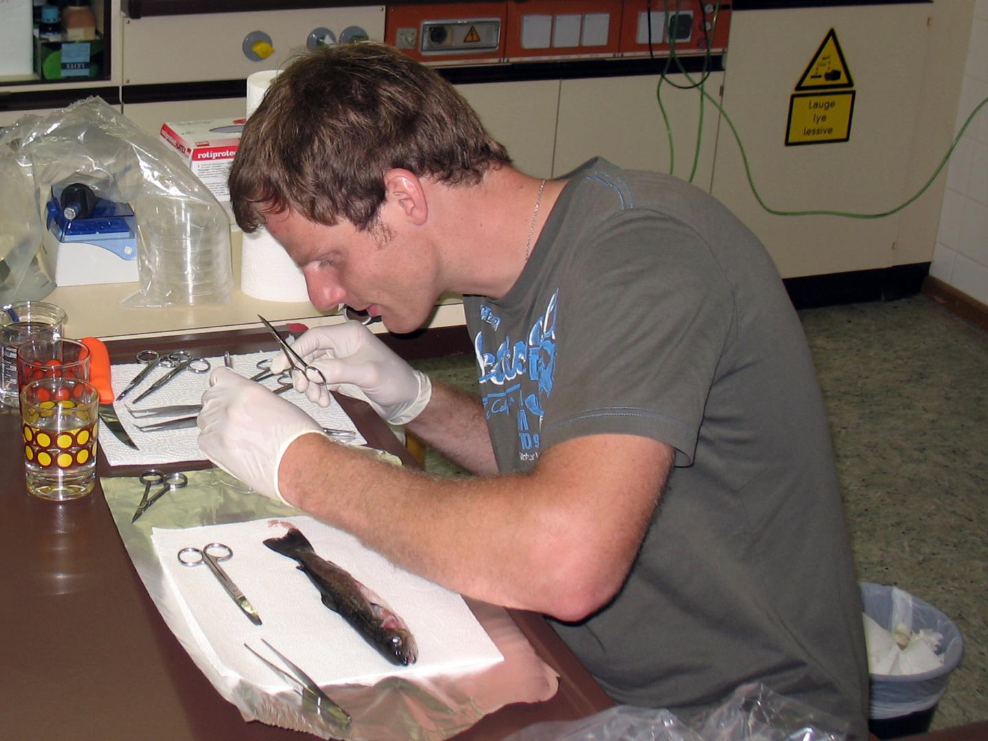 Dr. Jens-Eike Täubert Examining a Trout