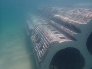 University of Miami researchers and collaborators expand hybrid reef project off Miami Beach