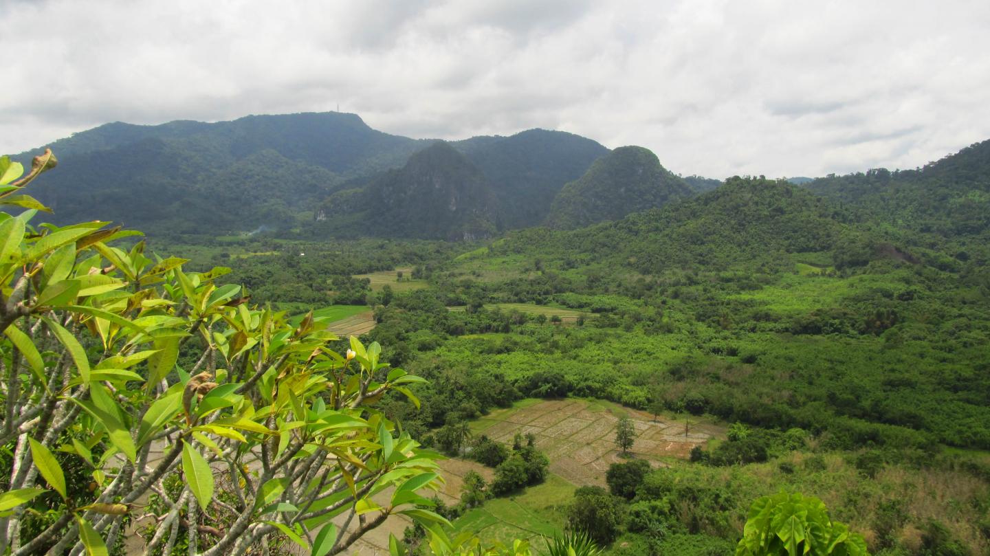 Lowland Palawan, the Philippines