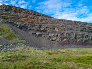 One of the oldest known 3D animal fossils found in Norwegian sheep field