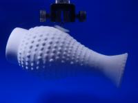 Suction Cup and Bumpy Vase