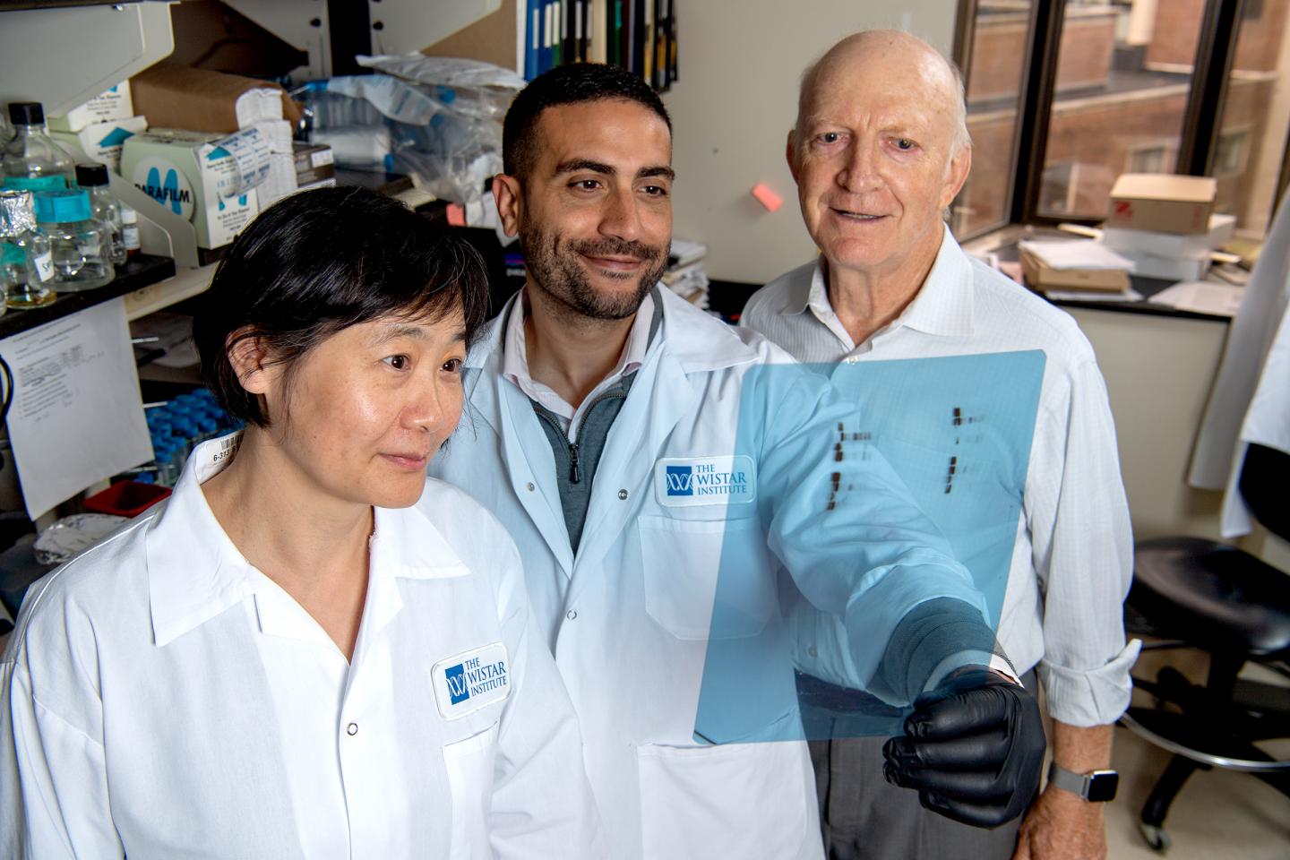 Dr. Meenhard Herlyn, Director of Wistar's Melanoma Research Center, with Members of His Lab