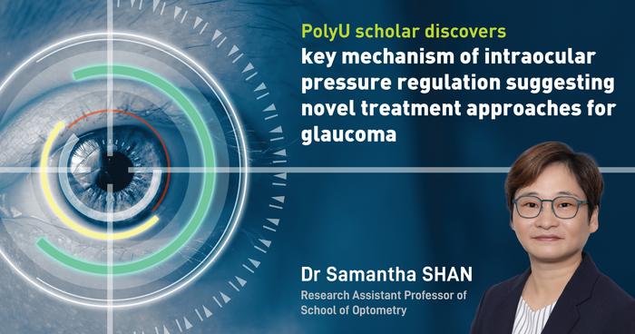 PolyU scholar discovers key mechanism of intraocular pressure regulation suggesting novel treatment approaches for glaucoma