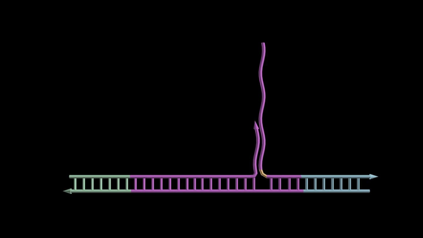 Harvard's Wyss Institute launches Torus Biosystems.