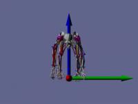 Walking Chimpanzee Skeleton -- Front View
