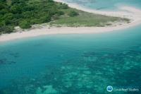 Widespread Bleaching is the New Norm for Corals of the GBR