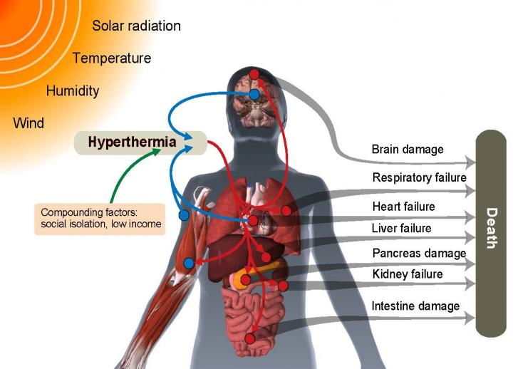 Deadly Heat Pathways