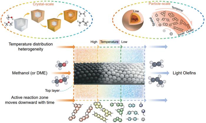 Inside zeolite nano-mazes: why methanol-to-hydrocarbons reactions are nonuniformly