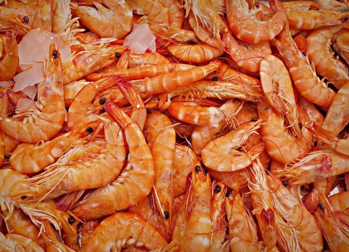 The Innovative Wound Cover was Made using a Substance Extracted from the Shells of Crustaceans