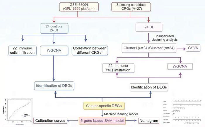 The study flowchart.