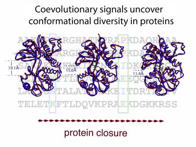 Proteins (1 of 2)