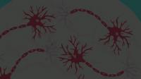 RhoGTPases: A Three-Way Approach to Controlling Neural Plasticity