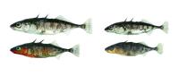 Two ecotypes of threespine stickleback fish