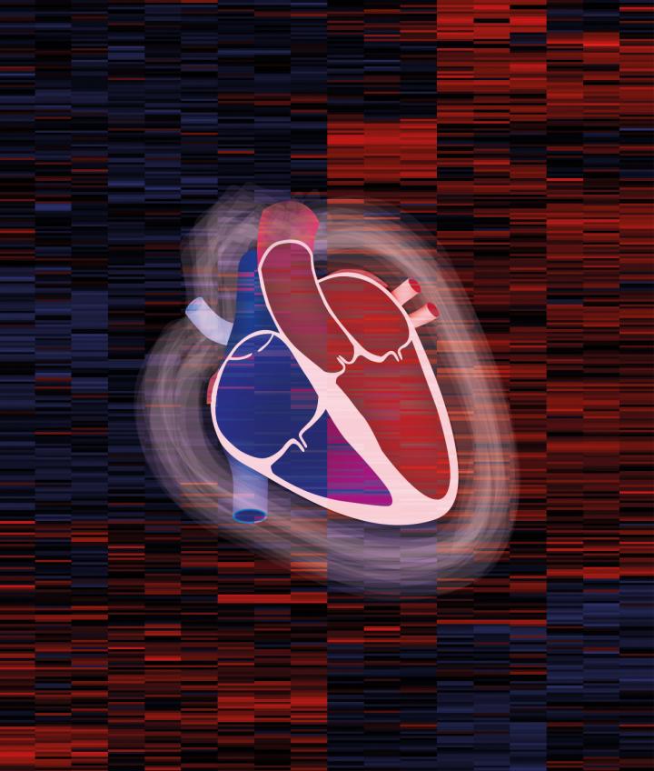 Cardiac Muscle