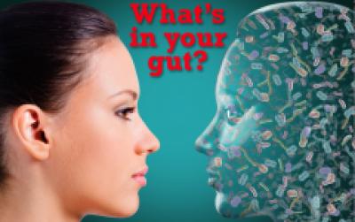 Gut Microbes