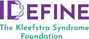 IDefine Logo