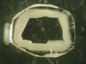 Slice of African diamond with a clear core and cloudy, inclusion-rich rim