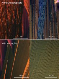 Before and After Micropillars