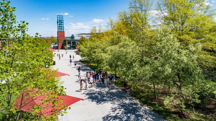 Binghamton University