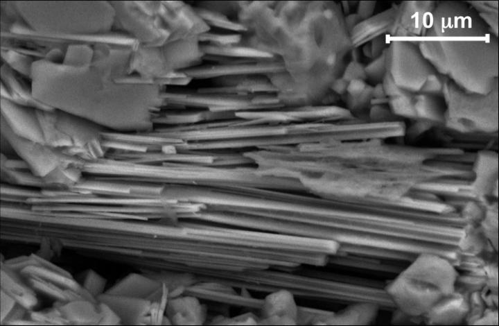 Actinolite