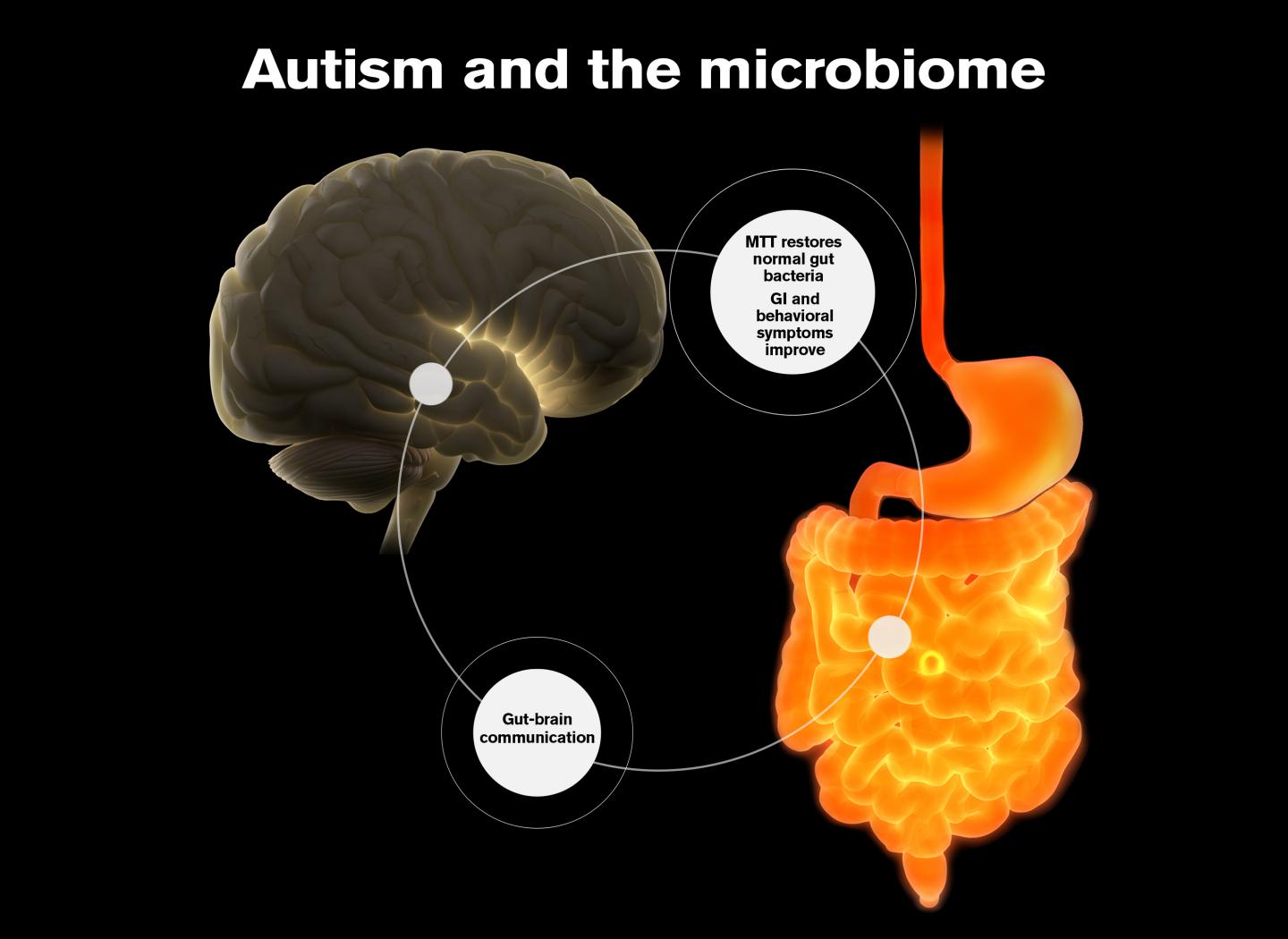 Microbiome