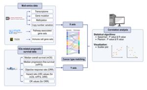 Correlation analysis of multi-omics data and ICIs related prognostic survival data