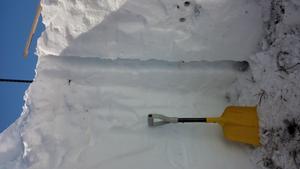 shovel