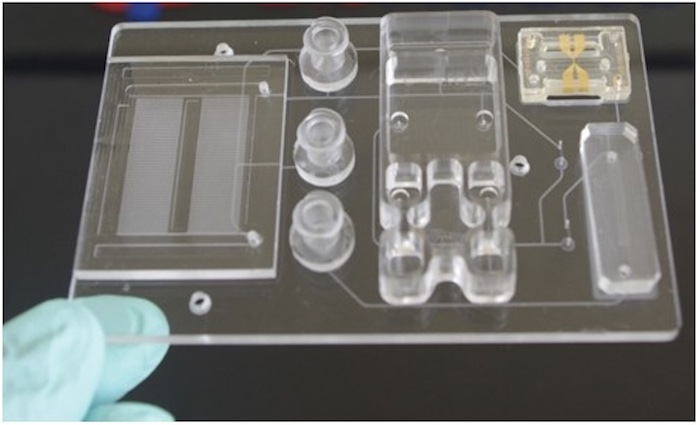 Lab-on-a-chip