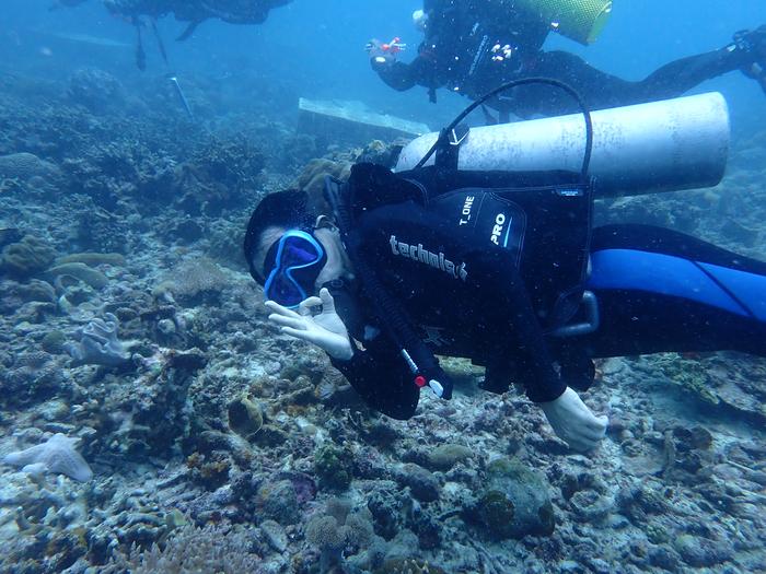 Restoring Indonesia’s Marine Ecosystems