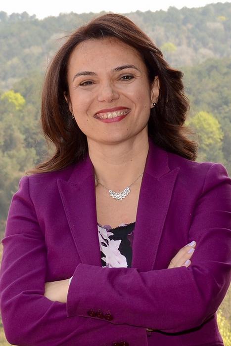 Prof. Dr. Bahar Rumelili