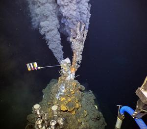 Data loggers deployed at hydrothermal vents on the East Pacific Rise