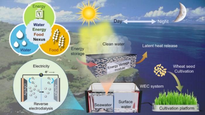 System with Thermal Management for Synergistic Water Production, Electricity Generation and Crop Irrigation