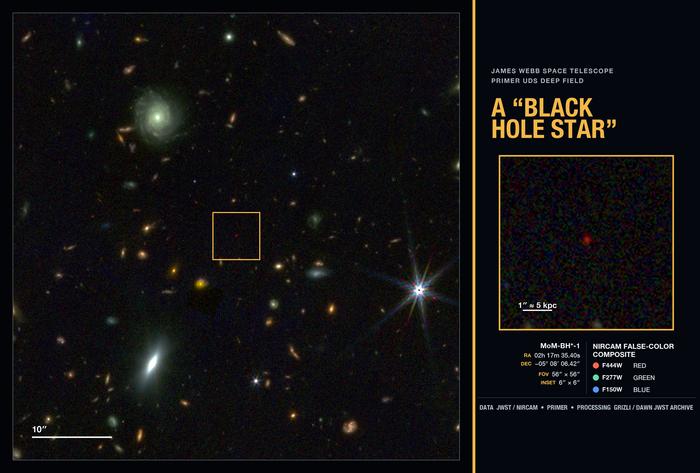 "Black Hole Star” stands out as a "Little Red Dot”.
