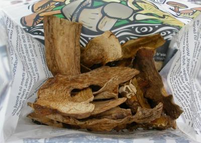 Samples of the New Species in the Original Packet