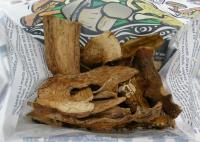 Samples of the New Species in the Original Packet