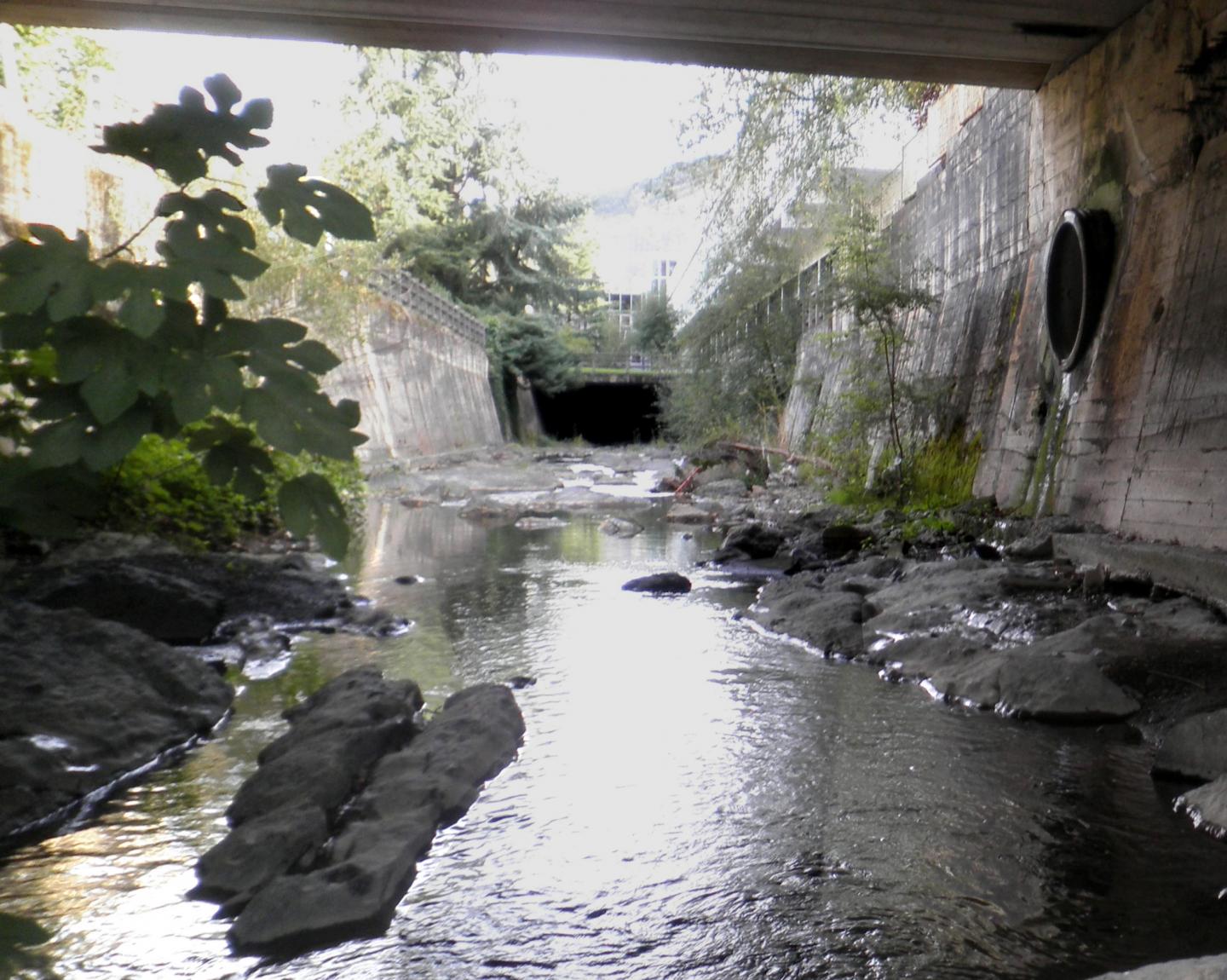 River Deba