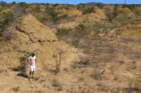 Termite Mounds (3 of 3)