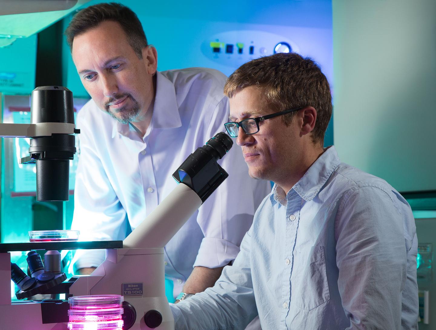Salk Scientists