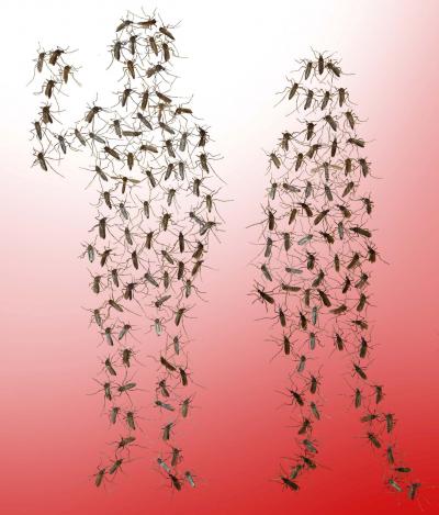 Mosquitoes