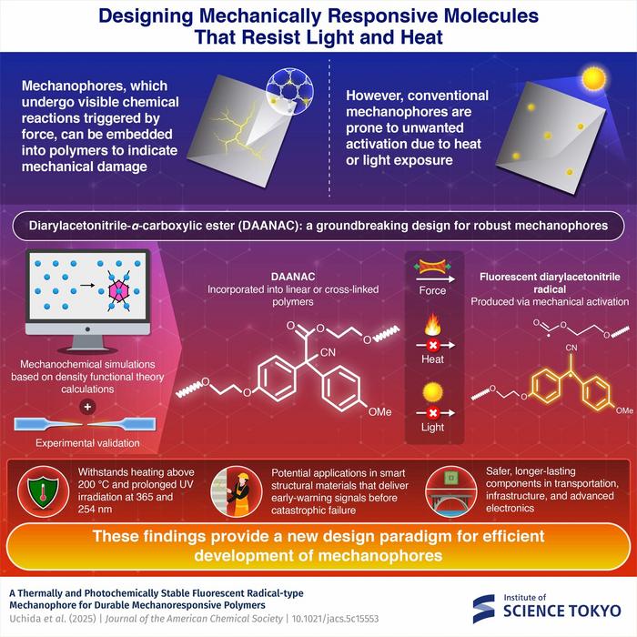 Design of a new scaffold for smart polymeric materials
