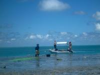Researchers on One Tree Island