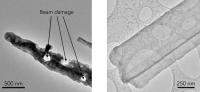 Lithium Metal Dendrite (TEM/Cryo-EM)