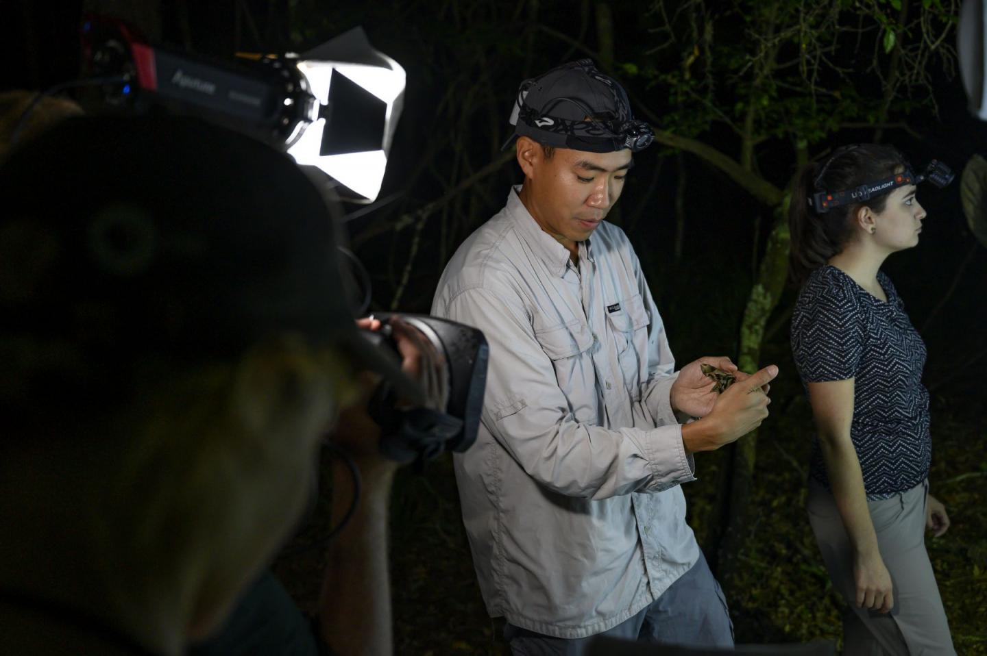 Keep Nighttime Lights Low for Insects