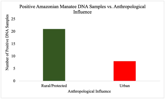 Survey of vulnerable Amazonian manatees using environmental DNA (eDNA): A method for survey in remote field settings