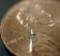 Micro-windmill