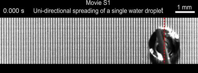 Topological Liquid Diode (3 of 4)