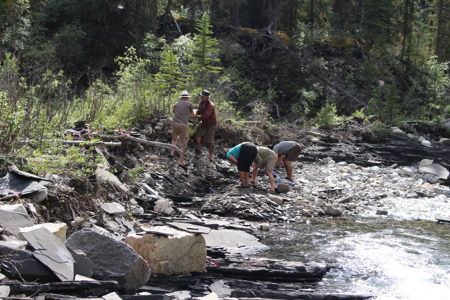 Field Work