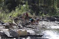 Field Work